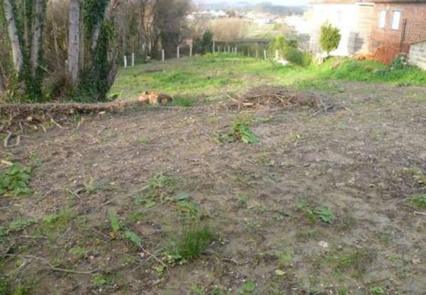 Terreno en lugar vilalonga s/n photo 2