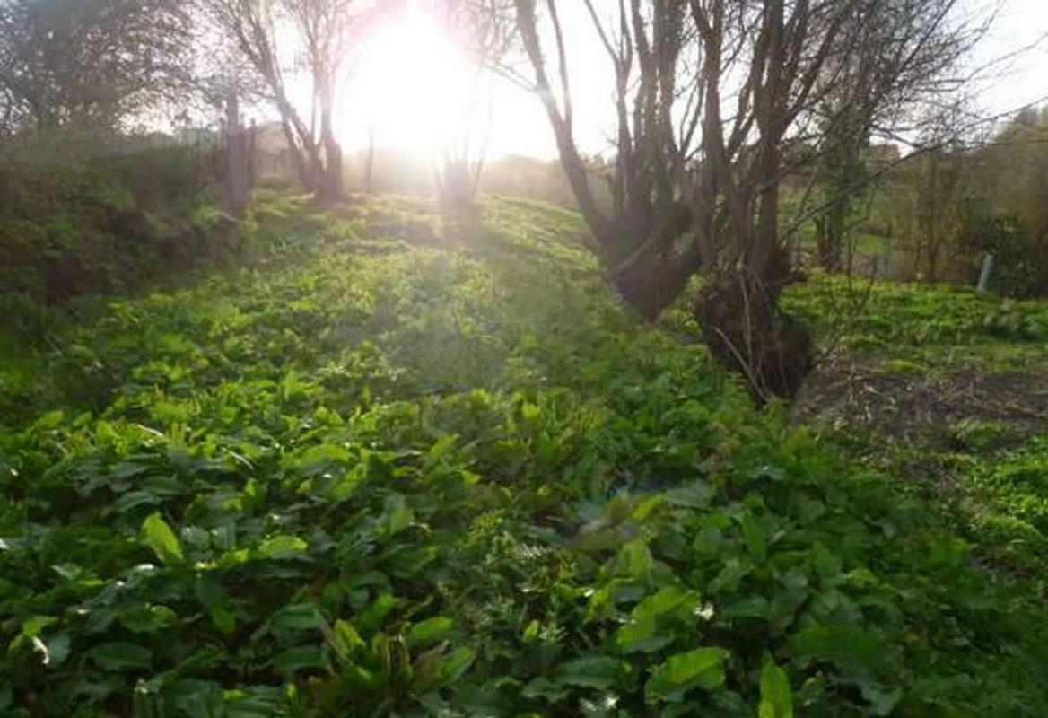 Terreno en venta en Sanxenxo, Pontevedra photo 3