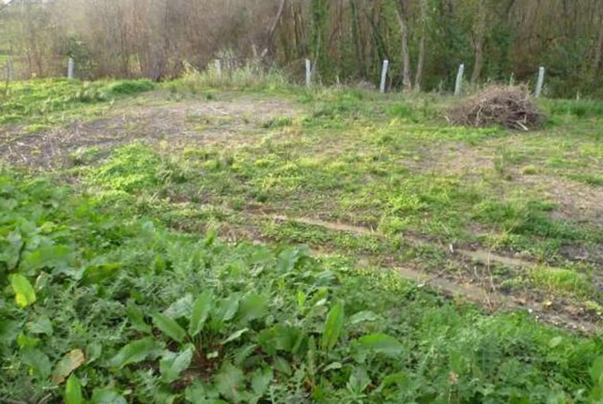 Terreno en venta en Sanxenxo, Pontevedra photo 4