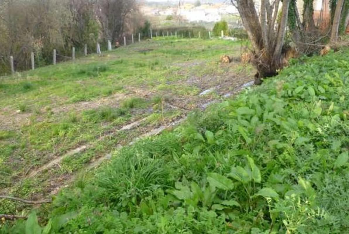 Terreno en venta en Sanxenxo, Pontevedra photo 5