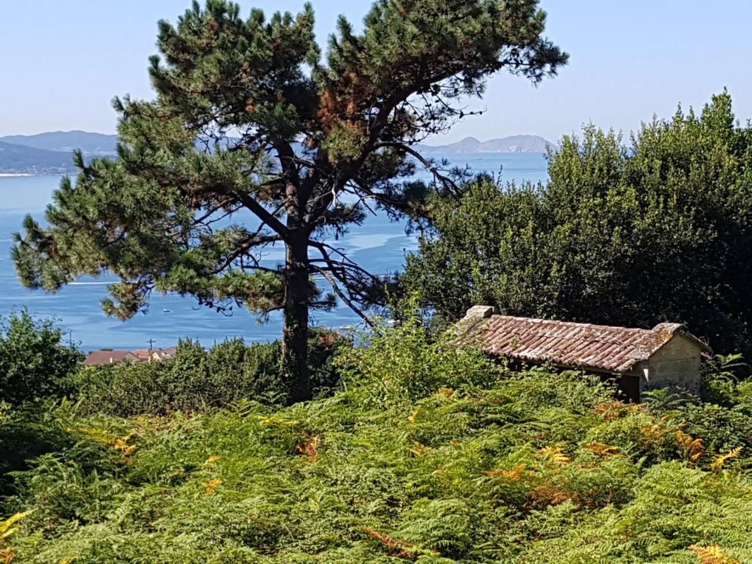Land for sale in Sanxenxo, Pontevedra photo 4