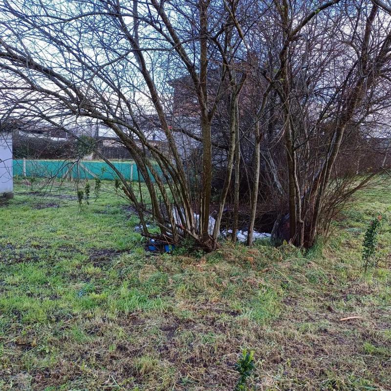 Terreno en venta en Silleda, Pontevedra photo 2