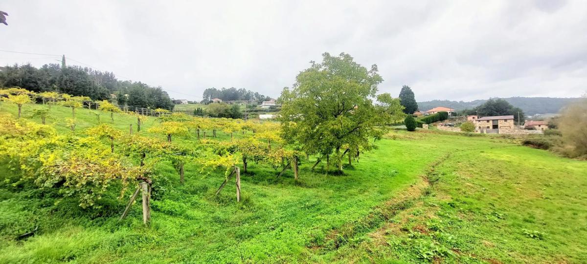 Terreno en venta en Silleda, Pontevedra photo 2