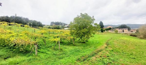 Terreno en Lugar de Os Currás, 9 thumbnail 1