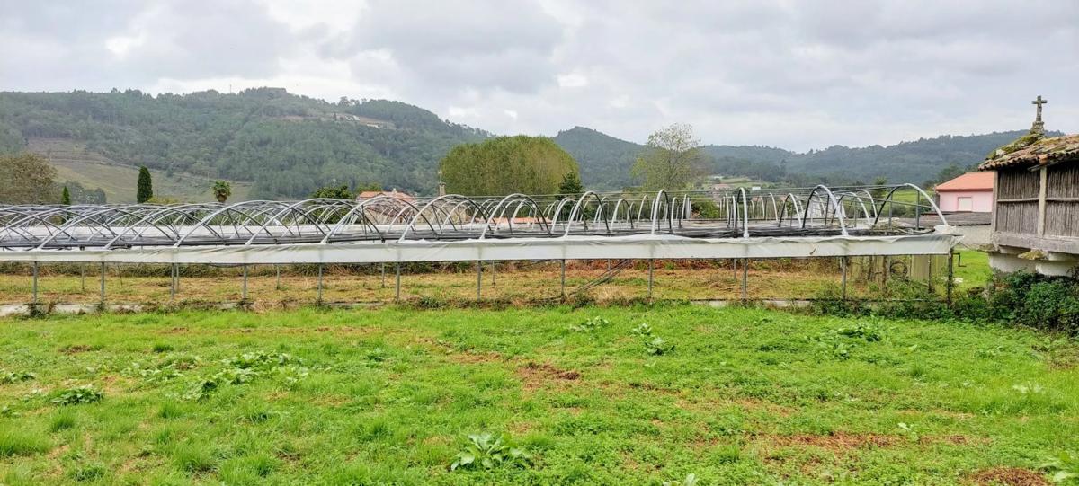 Terreno en venta en Silleda, Pontevedra photo 5