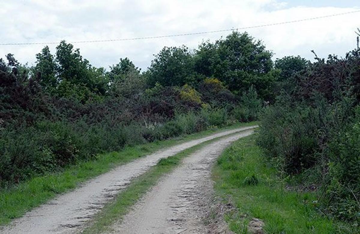 Land for sale in Silleda, Pontevedra photo 2