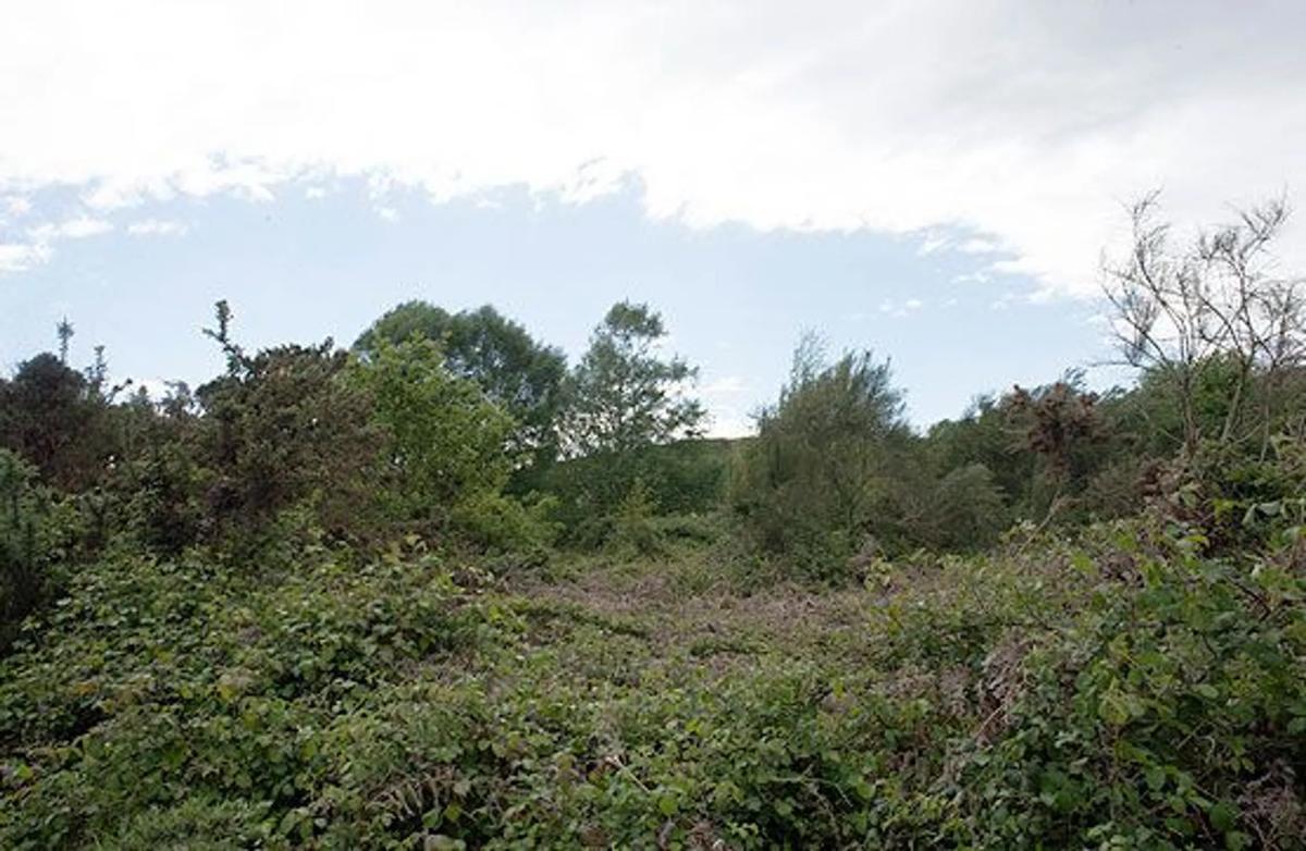 Land for sale in Silleda, Pontevedra photo 3