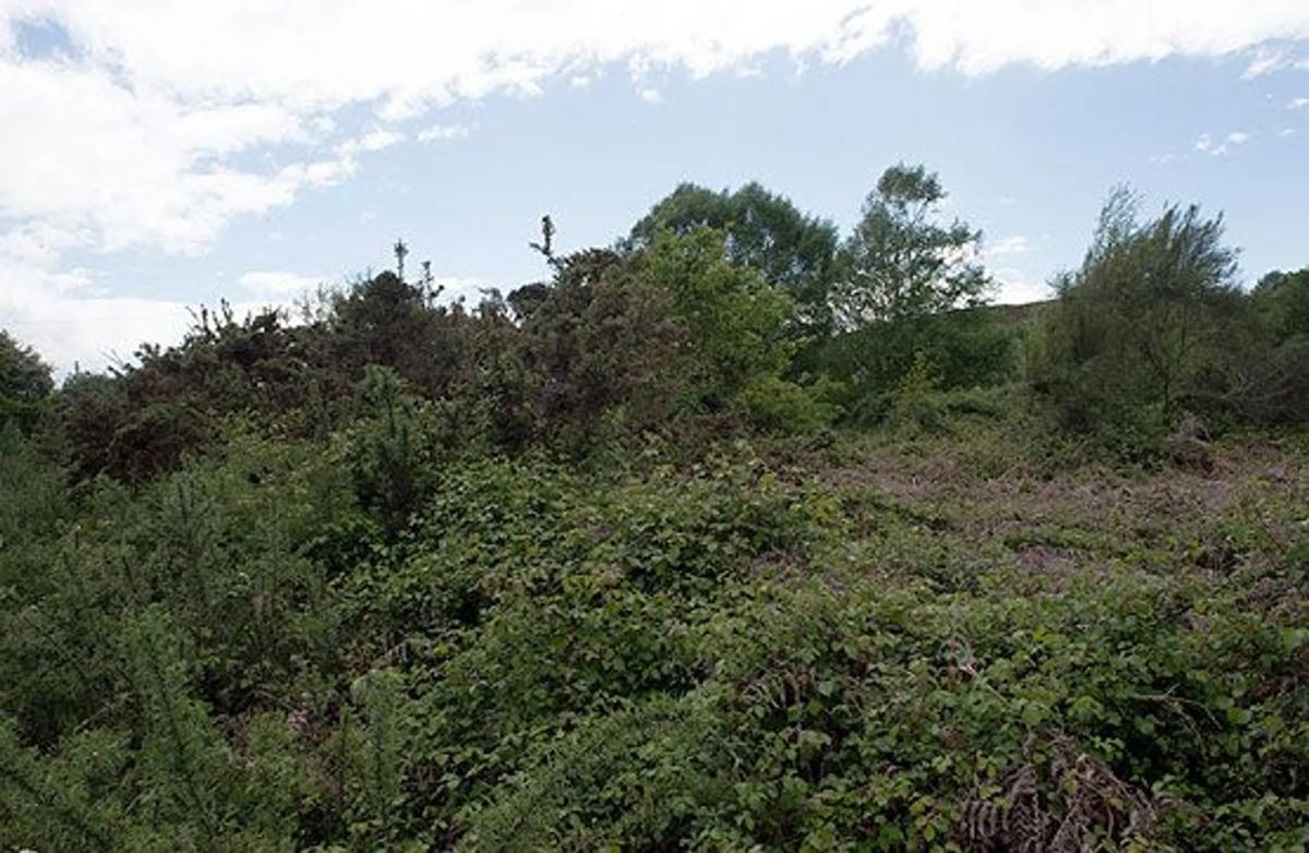 Land for sale in Silleda, Pontevedra photo 4