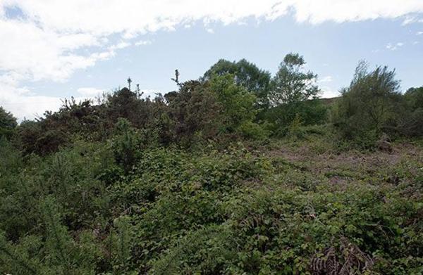 Terreno en Galan photo 4