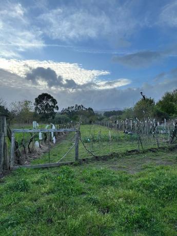 Terreno en Lugar Coto, 8 photo 1
