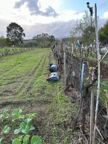 Terreno en Lugar Coto, 8 photo 4