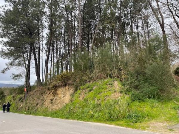 Terreno en Suelo Polígono 54 Parcela 283 photo 1