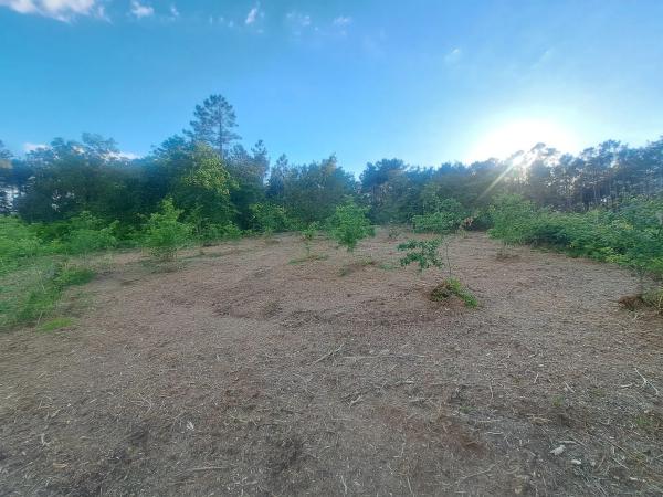 Terreno en -, km 550 photo 1