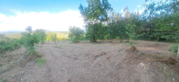 Terreno en -, km 550 photo 3