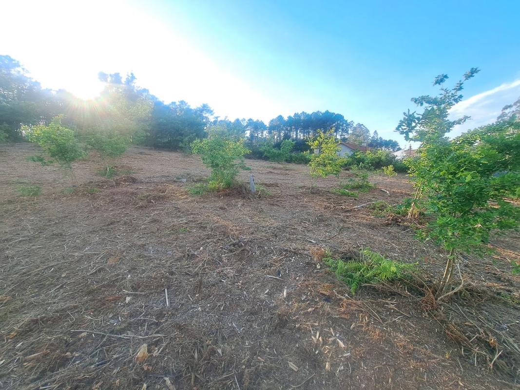 Terreno en venta en Valga, Pontevedra photo 4