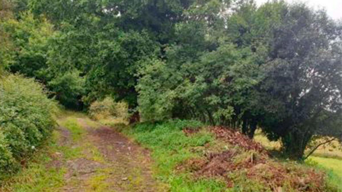 Terreno en venta en Vila De Cruces, Pontevedra photo 1