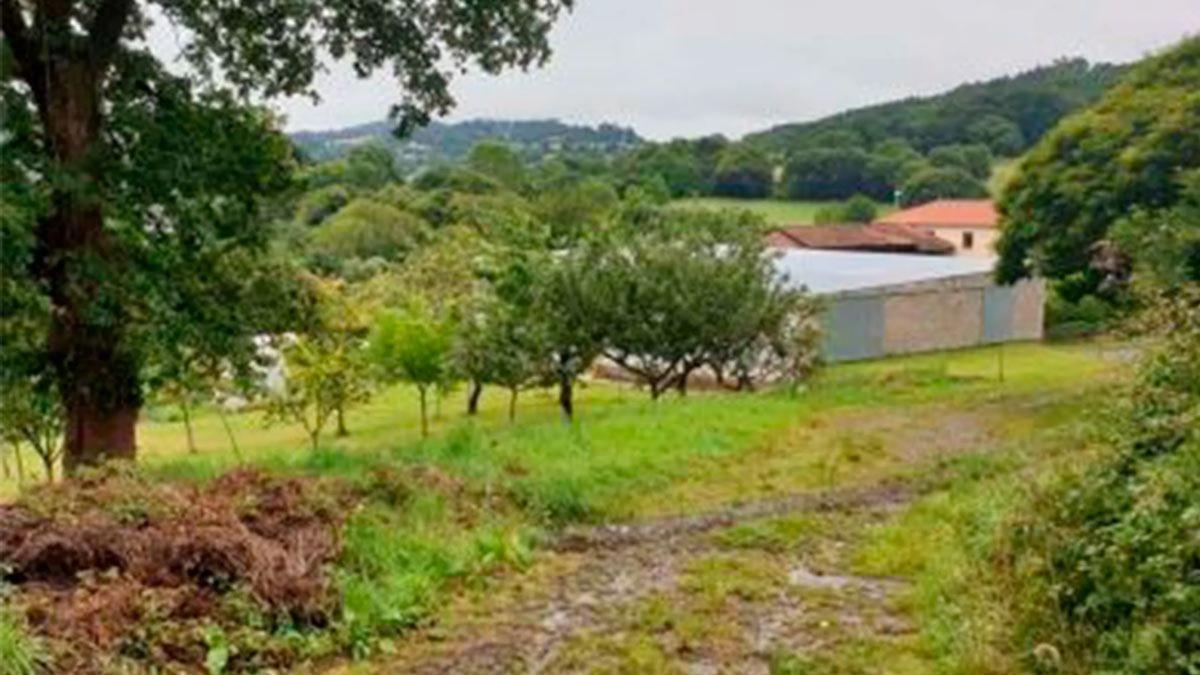 Terreno en venta en Vila De Cruces, Pontevedra photo 2