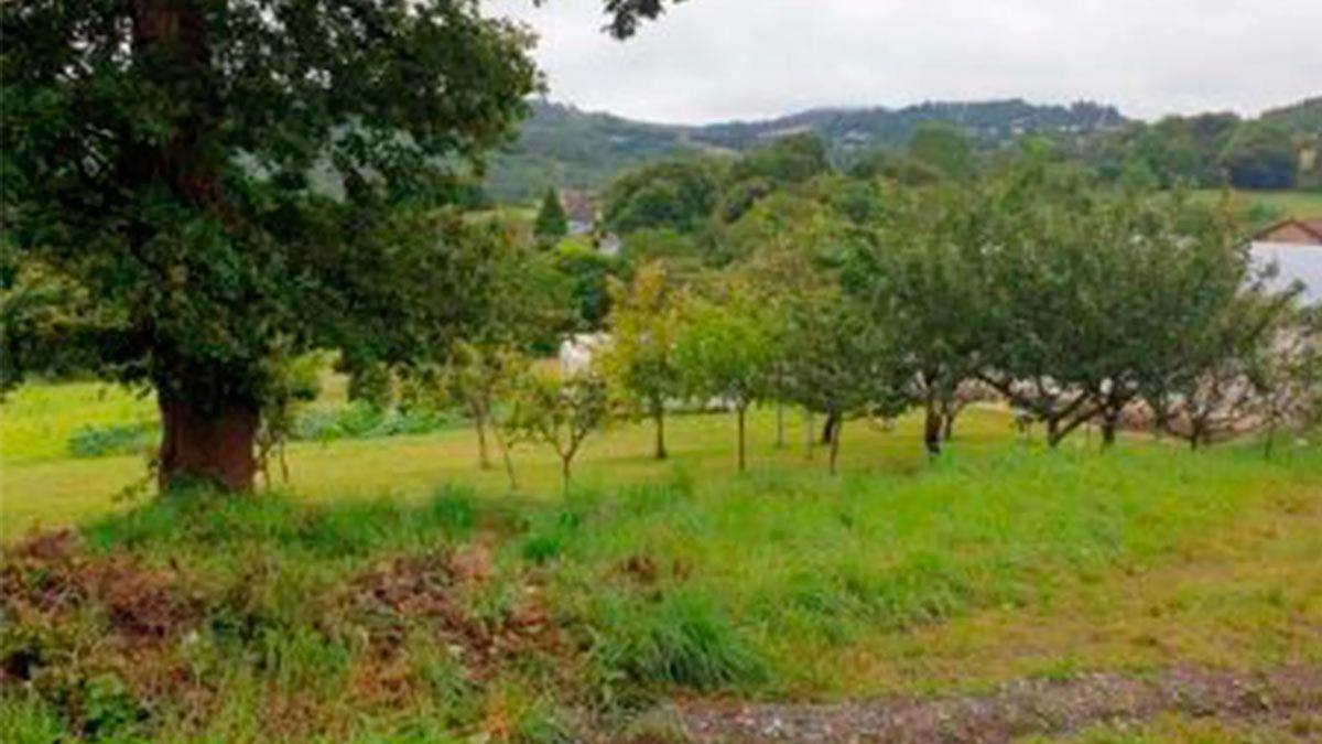 Terreno en venta en Vila De Cruces, Pontevedra photo 3