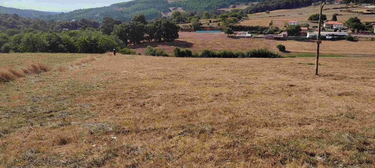 Terreno en venta en Vila De Cruces, Pontevedra photo 2