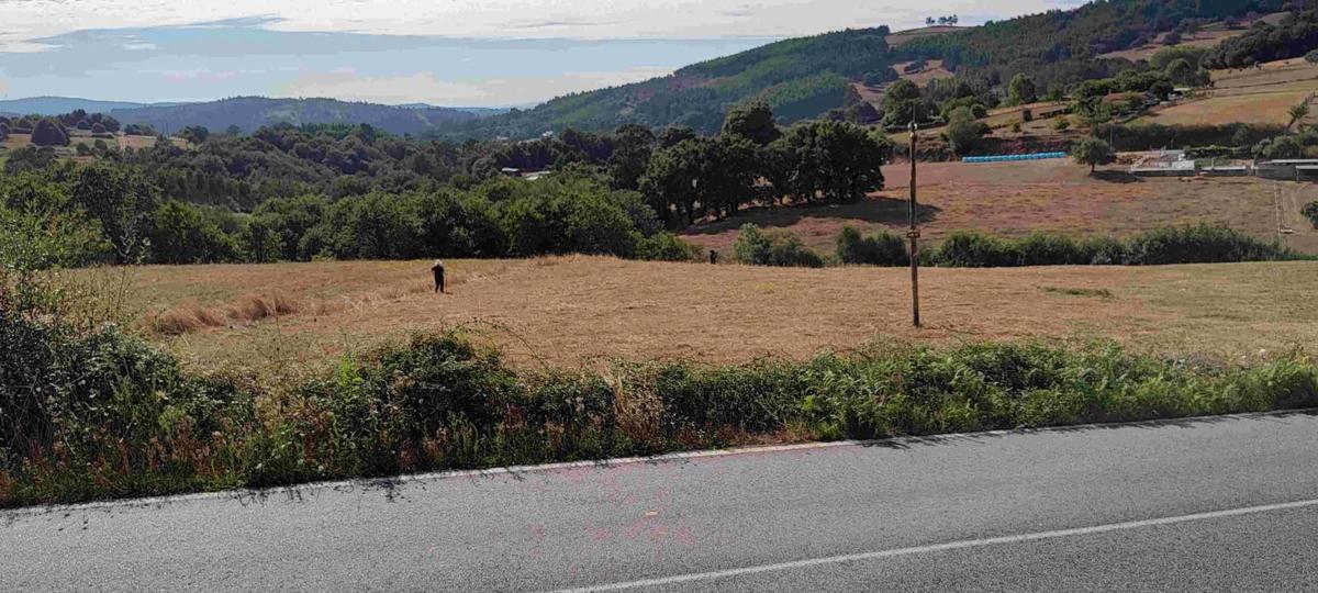 Terreno en venta en Vila De Cruces, Pontevedra photo 5
