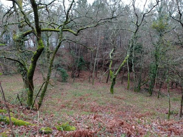 Terreno en santa maria de merza photo 1