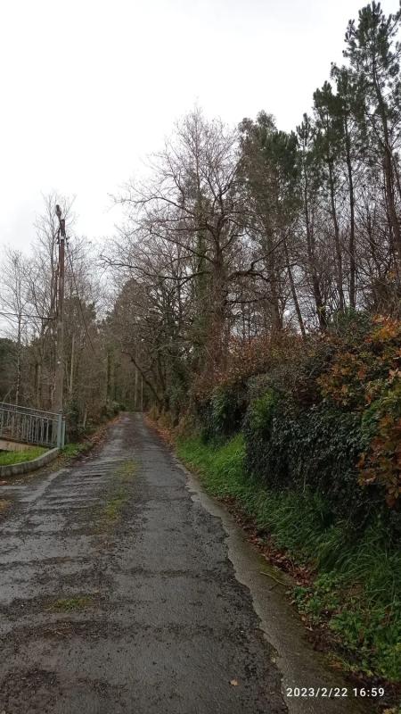 Terreno en venta en Vila De Cruces, Pontevedra photo 4