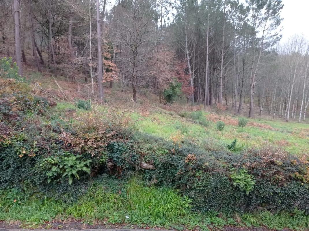 Terreno en venta en Vila De Cruces, Pontevedra photo 5