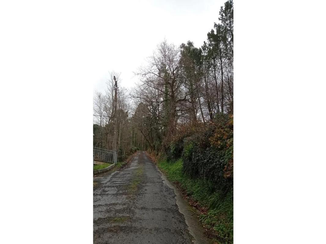 Terreno en venta en Vila De Cruces, Pontevedra photo 2