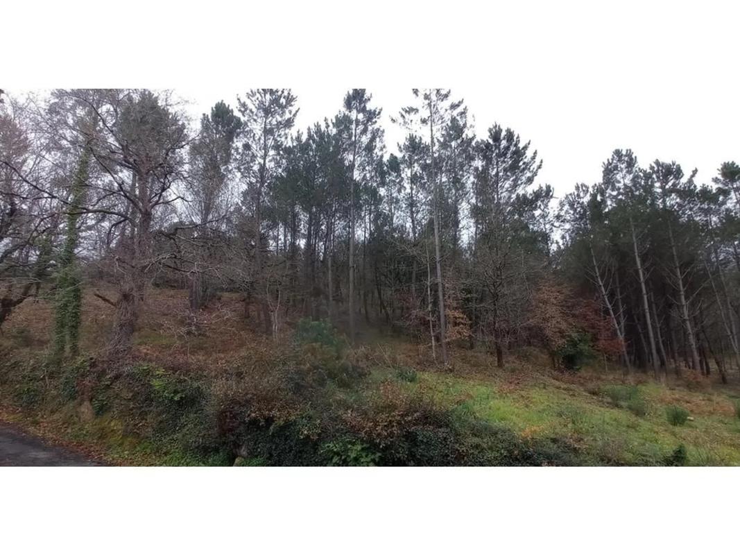 Terreno en venta en Vila De Cruces, Pontevedra photo 3