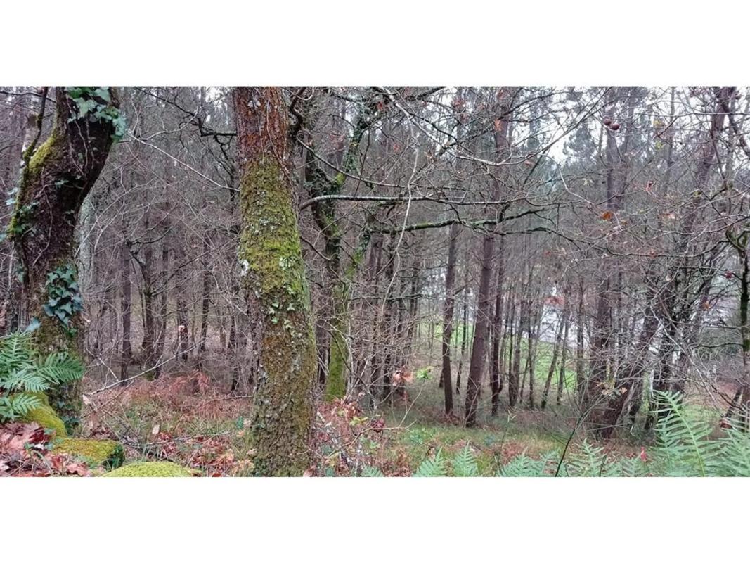 Terreno en venta en Vila De Cruces, Pontevedra photo 4
