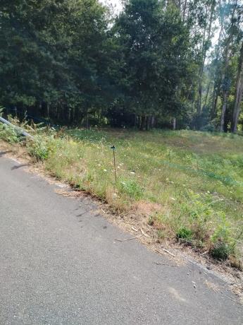 Terreno en camino Lugar Devesa, km 7 photo 1