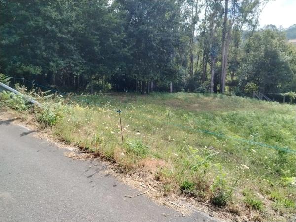 Terreno en camino Lugar Devesa, km 7 photo 3