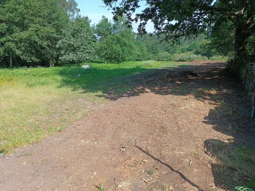 Terreno en venta en Ponte-Caldelas, Pontevedra photo 1