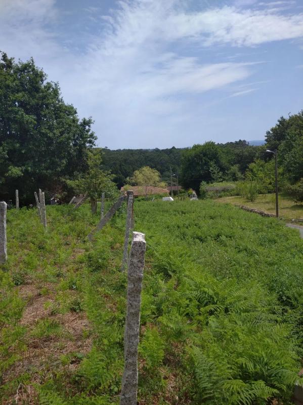 Terreno en venta en Poio, Pontevedra photo 3