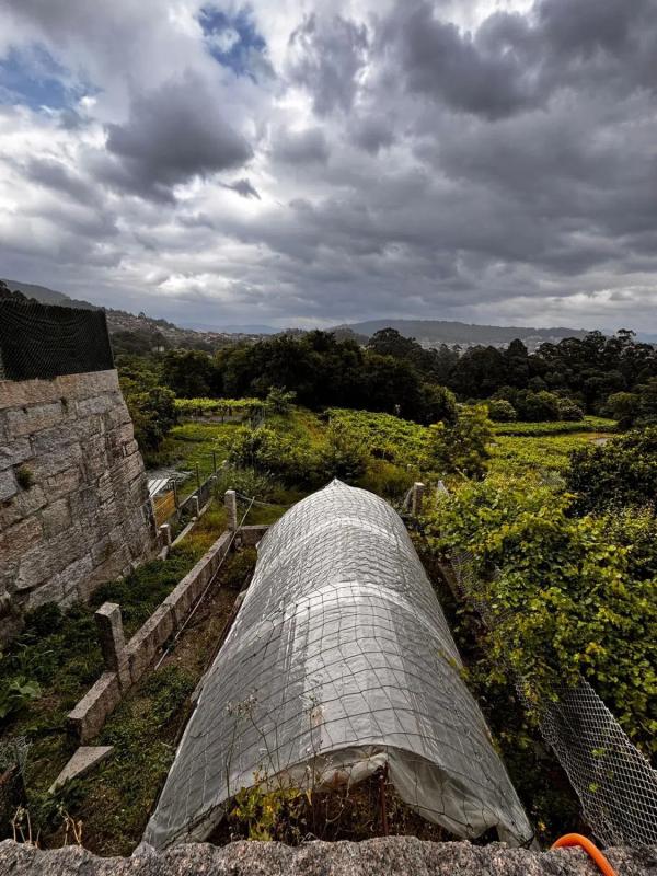 Terreno en venta en Poio, Pontevedra photo 3