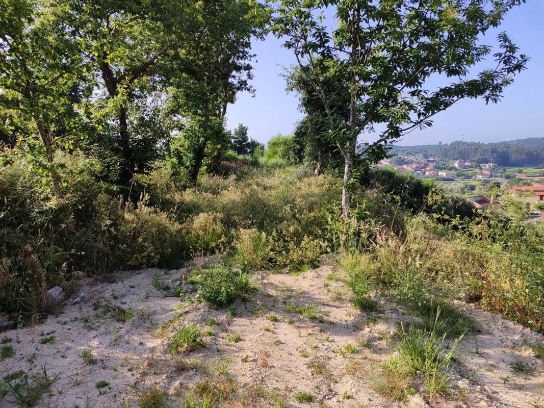 Terreno en venta en Barro, Pontevedra photo 1