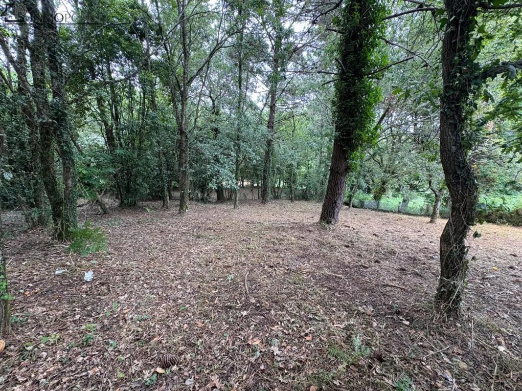 Terreno en venta en Poio, Pontevedra photo 5