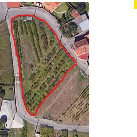 Terreno en Codeseira, km 1 photo 1