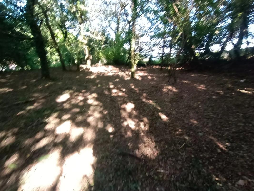 Terreno en venta en Poio, Pontevedra photo 3