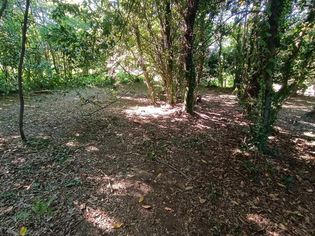 Terreno en venta en Poio, Pontevedra photo 4