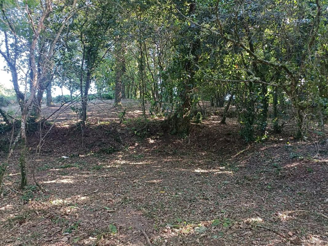 Terreno en venta en Poio, Pontevedra photo 5