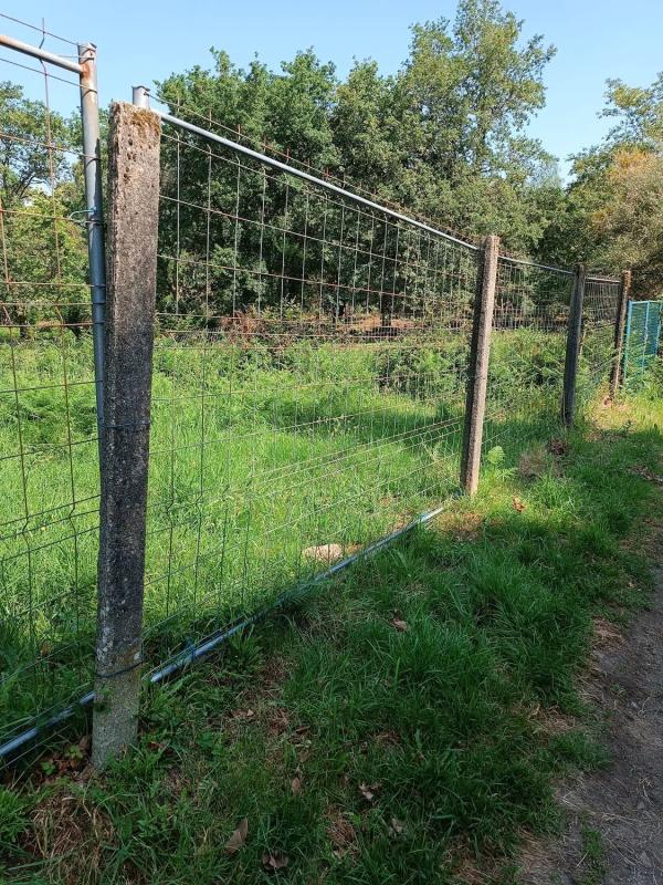 Terreno en venta en Ponte-Caldelas, Pontevedra photo 1