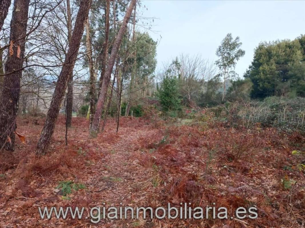Propiedades en venta y alquiler en España photo 2