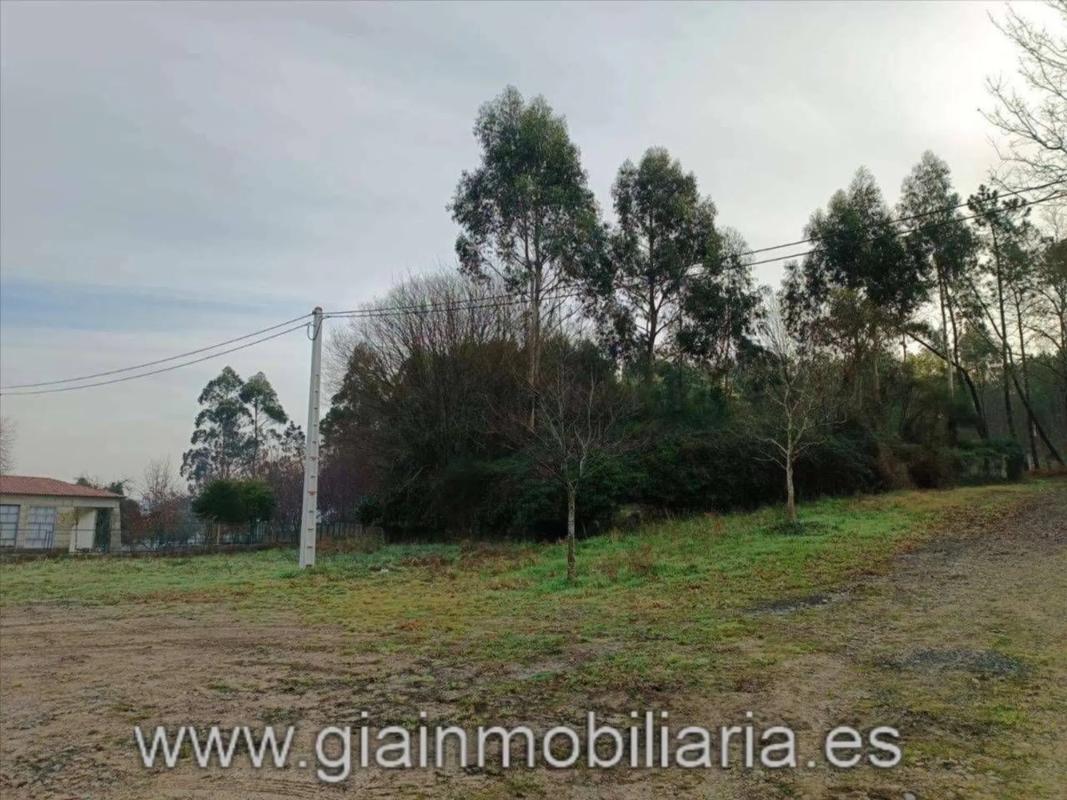 Propiedades en venta y alquiler en España photo 3