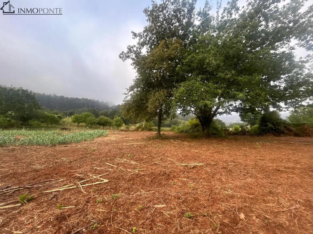 Terreno en venta en Marcón, Pontevedra photo 5