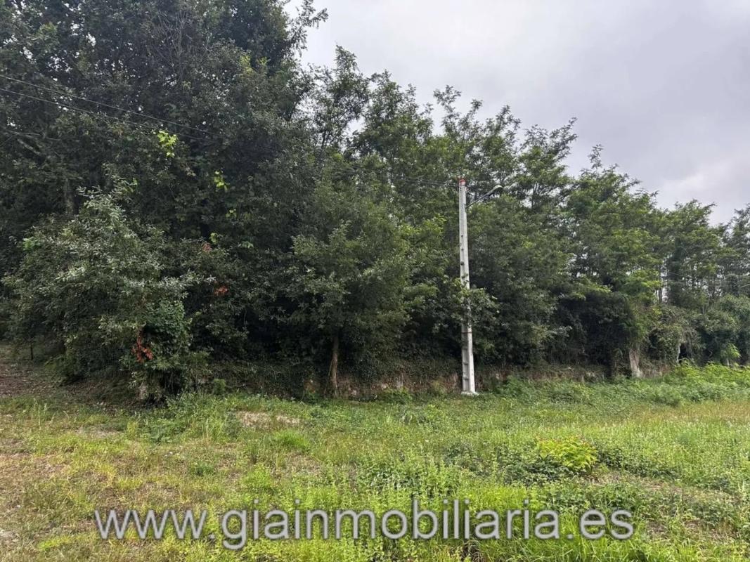 Propiedades en venta y alquiler en España photo 1