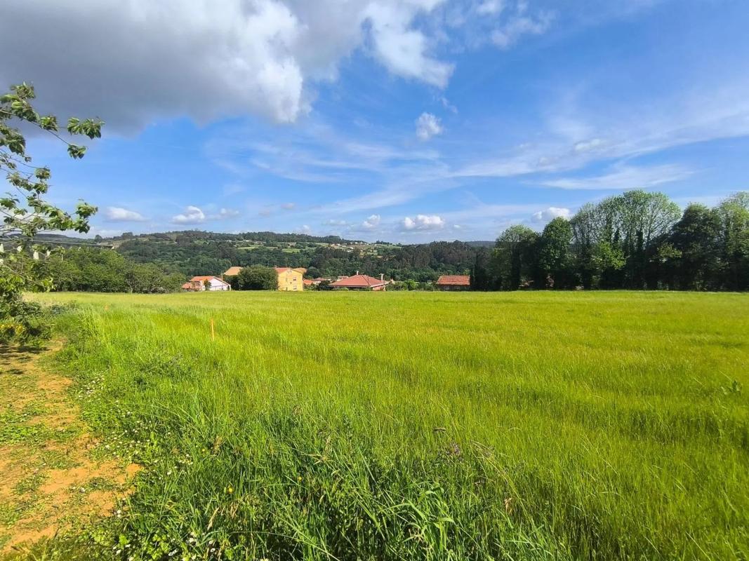 Terreno en venta en Cerdedo-Cotobade, Pontevedra photo 4