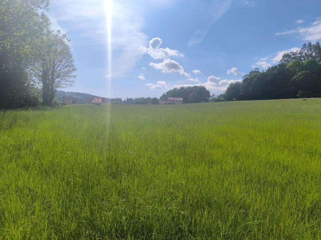 Terreno en venta en Cerdedo-Cotobade, Pontevedra photo 5