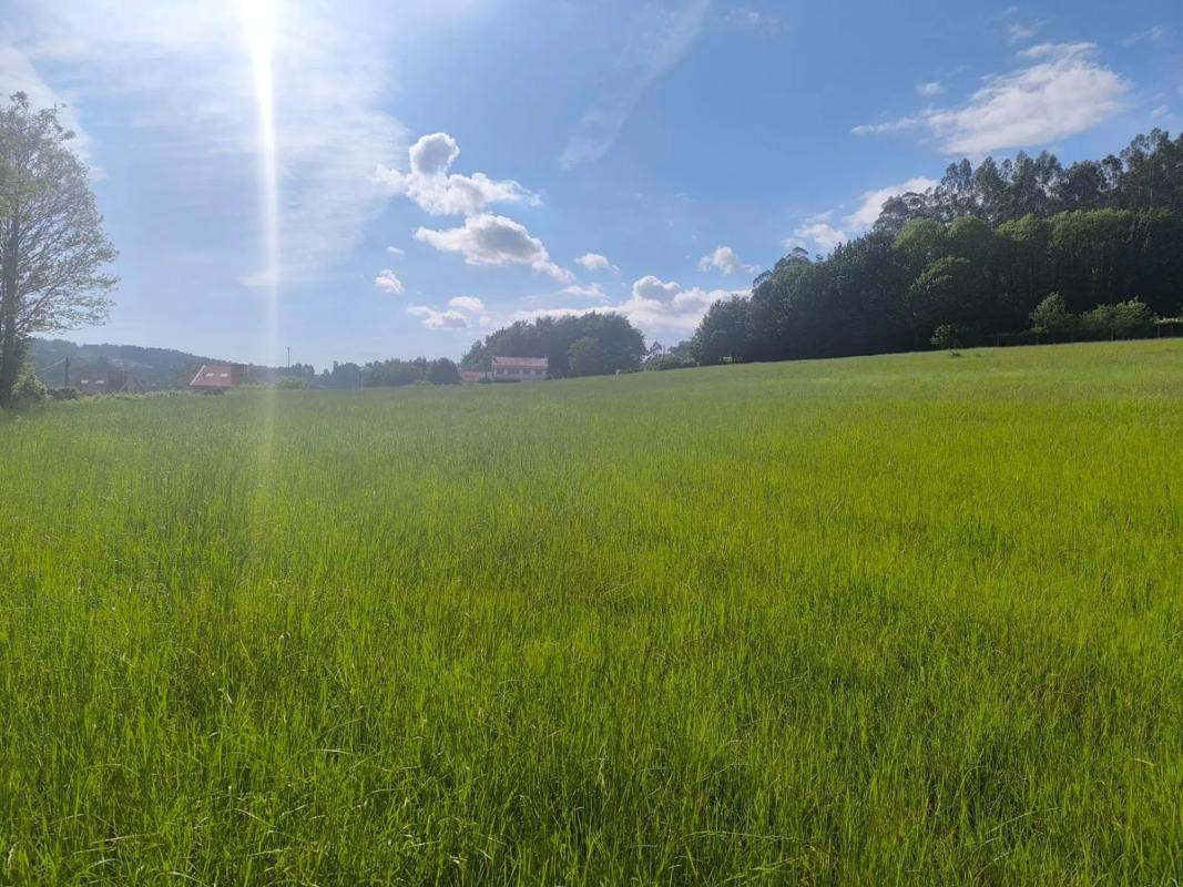 Land for sale in Cerdedo-Cotobade, Pontevedra photo 4