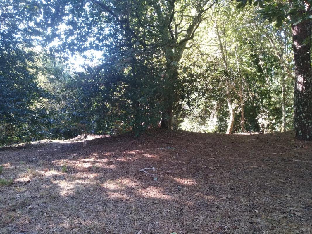 Terreno en venta en Cerdedo-Cotobade, Pontevedra photo 2